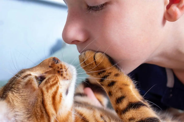 A cat's paw on a person's face