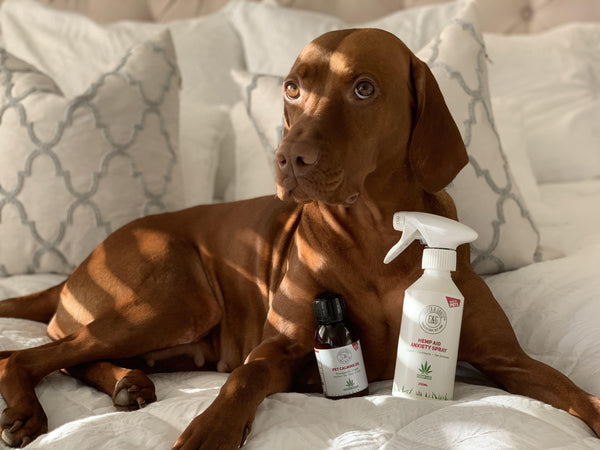 Hemp Seed Oil for Dogs and Cats | 12 Ways It WORKS | Cooper & Gracie - Cooper & Gracie™ Limited 
