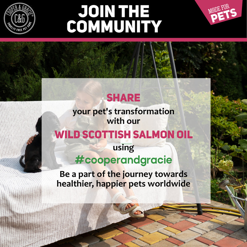 Wild Scottish Salmon Oil for Dogs, Puppy, Cats & Pets