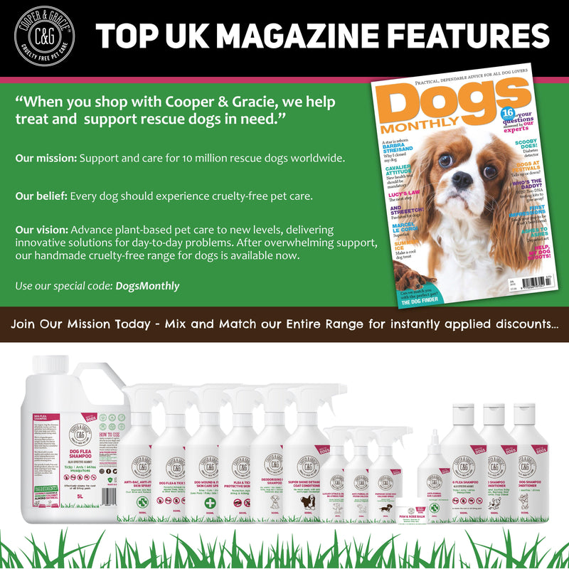 Anti-Bacterial Cream for Dogs for Itchy Skin – with SPF 50 Sun Cream - Cooper & Gracie™ Limited