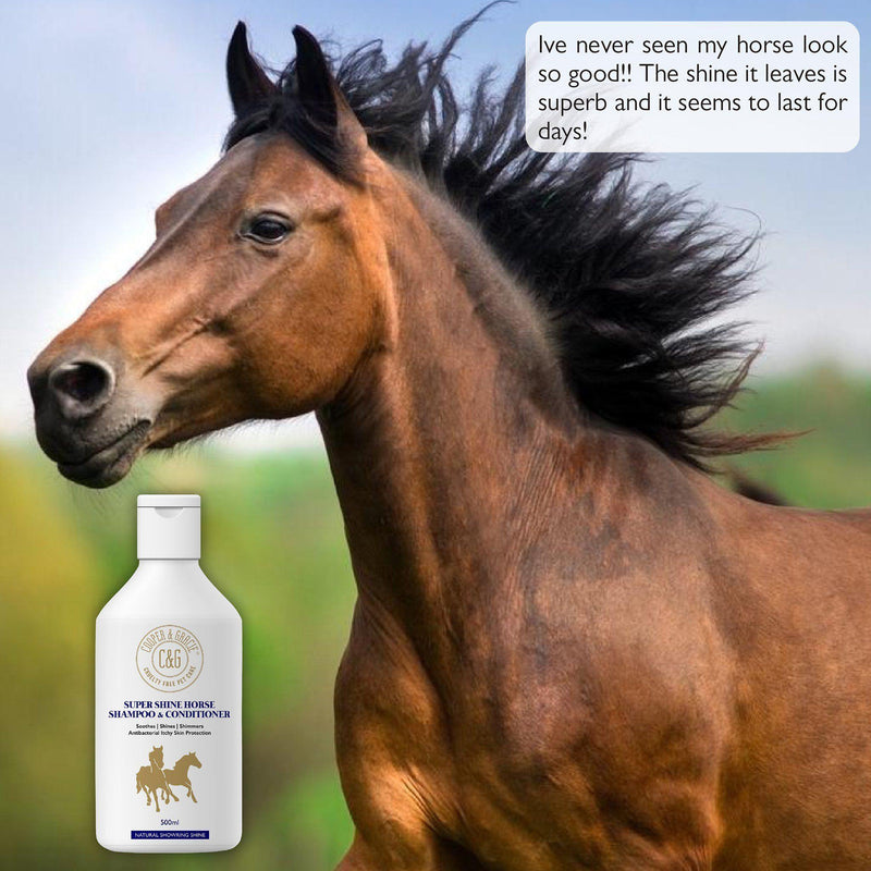 Anti Itch Shampoo and Conditioner for Horses - Cooper & Gracie™ Limited 