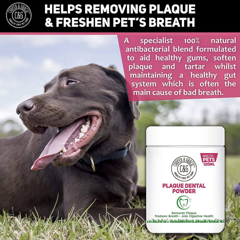 Dental Powder for Dogs and Cats – With Turmeric - Cooper & Gracie™ Limited 