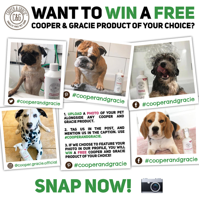Dog Shampoo and Conditioner - Cooper & Gracie™ Limited 
