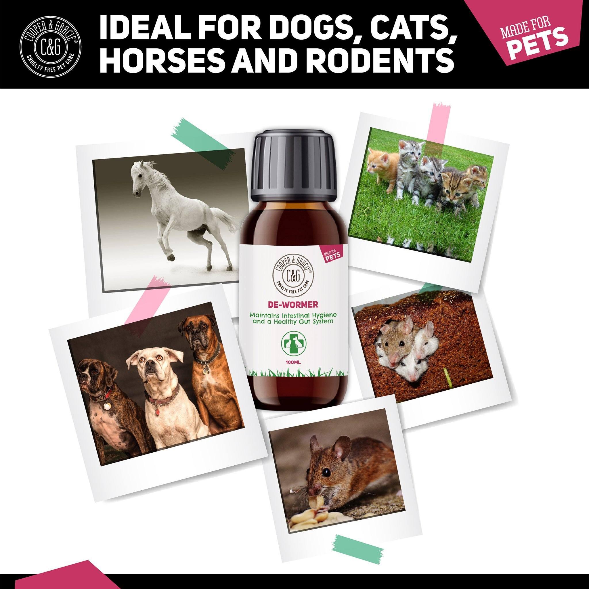 Wormwood for Dogs and Cats for Intestinal Health - Cooper & Gracie™ Limited 