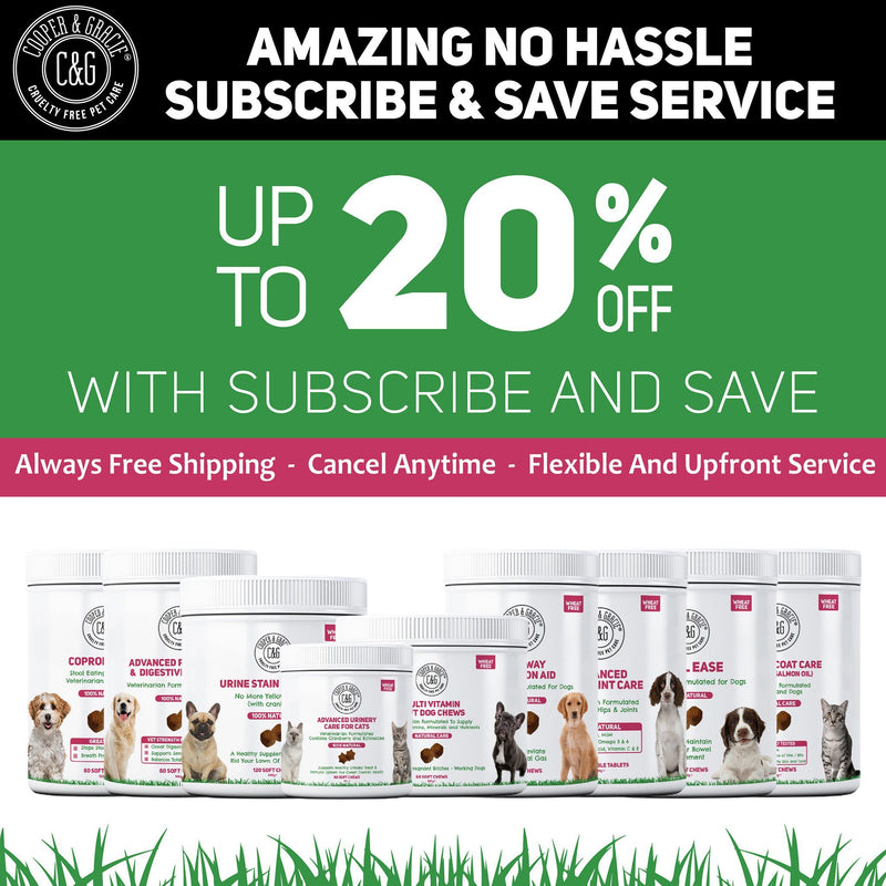 Calming Supplements for Dogs with Chamomile 60 Soft Chews (4597967913015)
